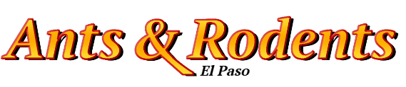El Paso Ant Exterminator & Rodent Control Company Logo
